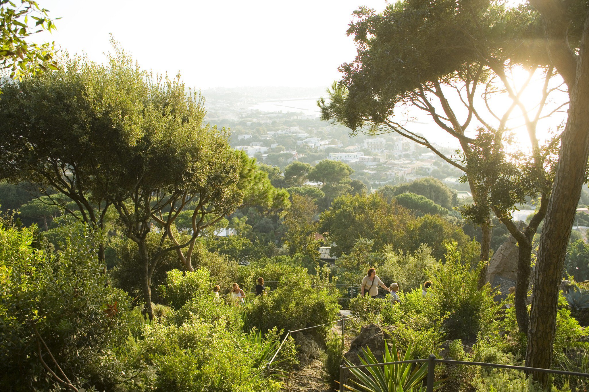 La Mortella gardens.