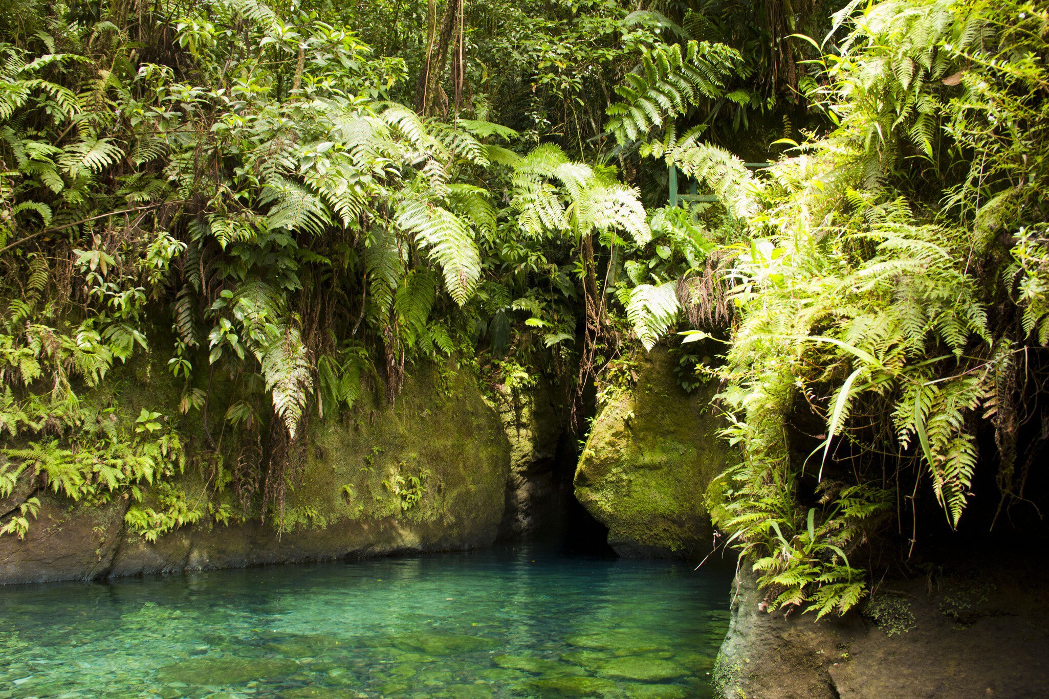 A clear turquoise pool at the foot of moss-covered rock walls hung with ferns, a dark narrow gorge opening beyond.