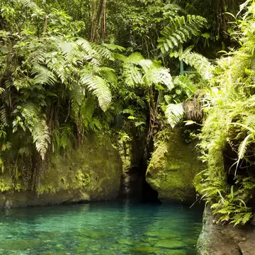 A clear turquoise pool at the foot of moss-covered rock walls hung with ferns, a dark narrow gorge opening beyond.