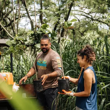 Learn more about Maui with these volunteering schemes © Hawaii Tourism Authority (HTA) / Heather Goodman