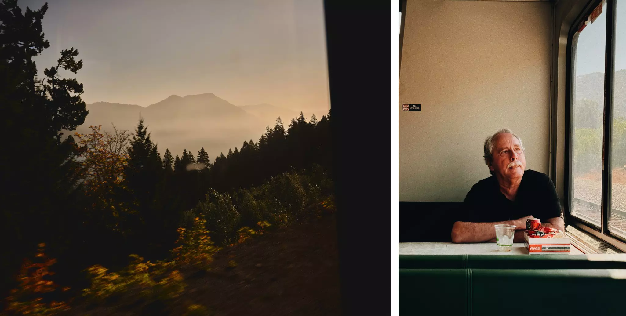 Left, blurry plants and trees with mountains in the distance. Right, a man sits at a table and looks off through a window.