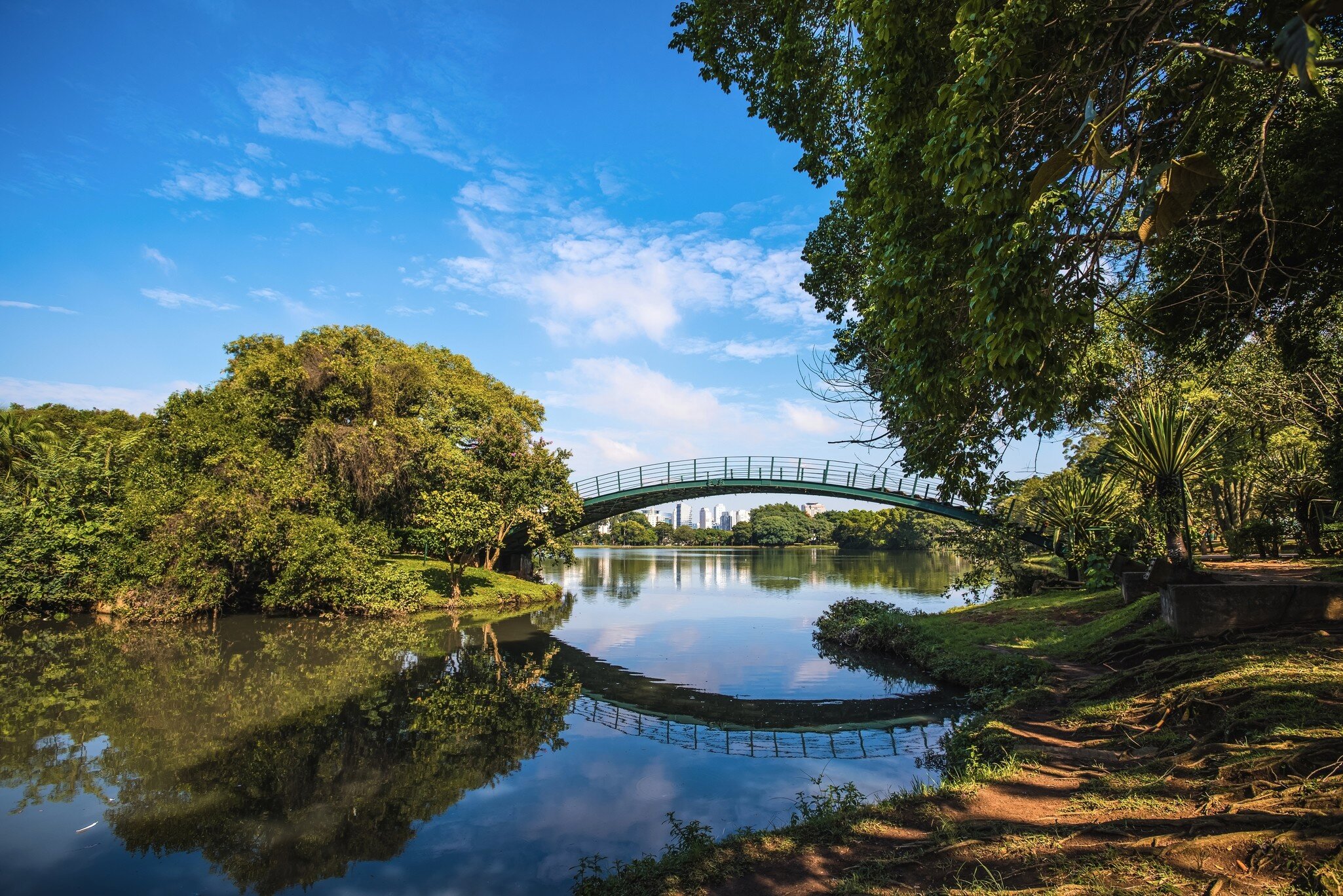 A green metal arched footbridge reflected in still water, framed by trees, with city towers visible through the gap.