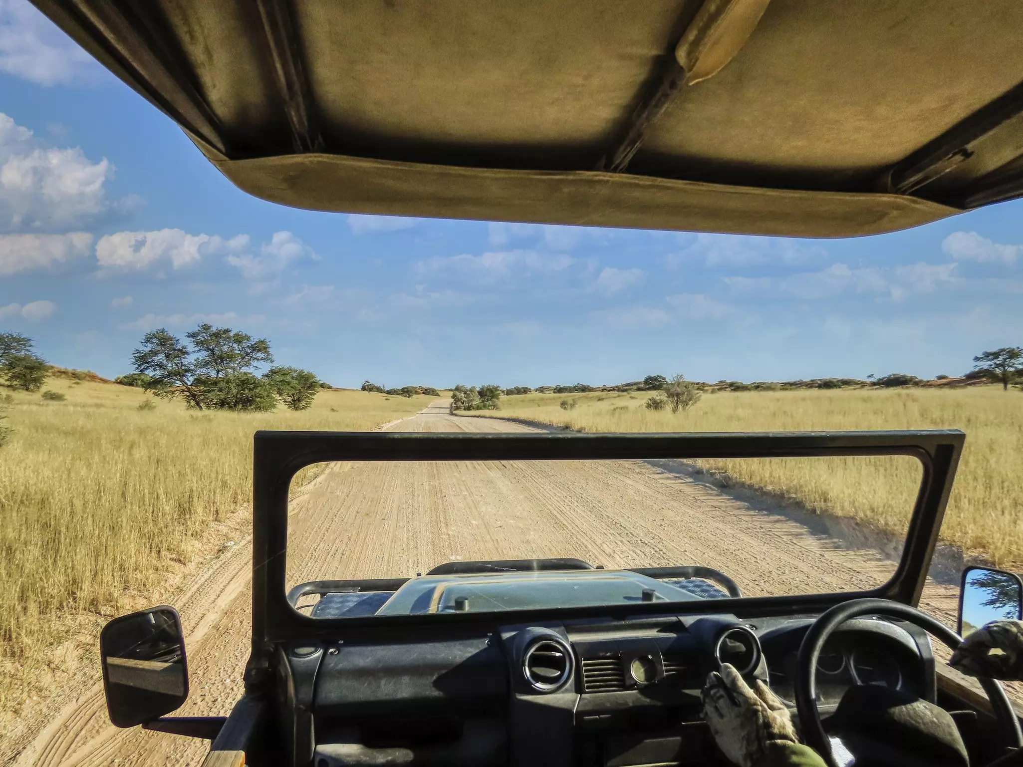 You need to be well-prepared to travel around on a self-drive 4WD safari © poco_bw / Getty Images