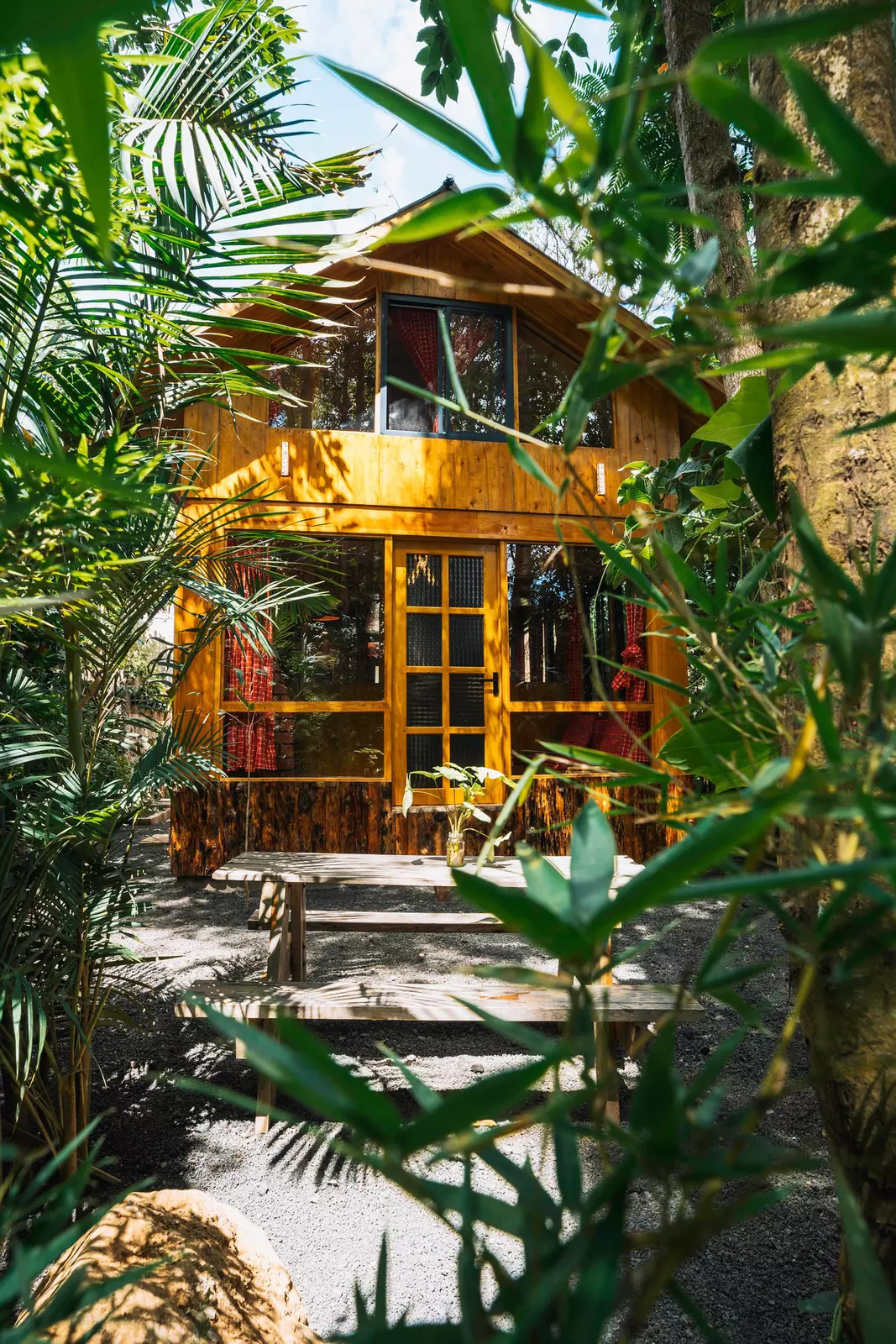 Exterior of a small wooden cabin surrounded by foliage.