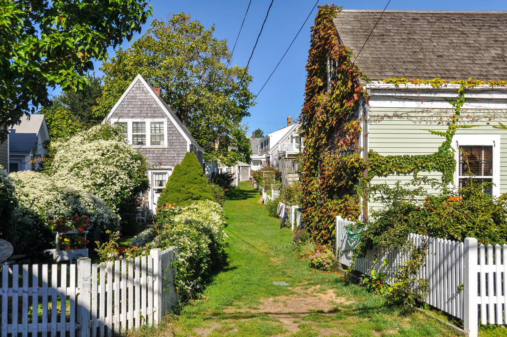 Cedar shingle houses in Plymouth, MA, USA.