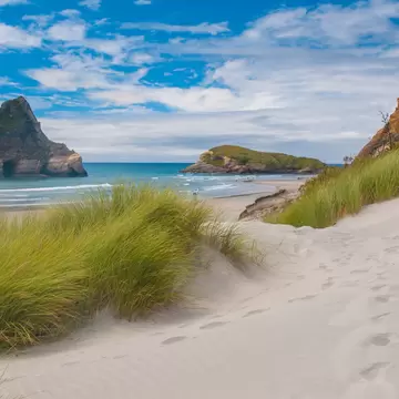Sand Dunes and grass vegetation at famous Wharariki Beach.