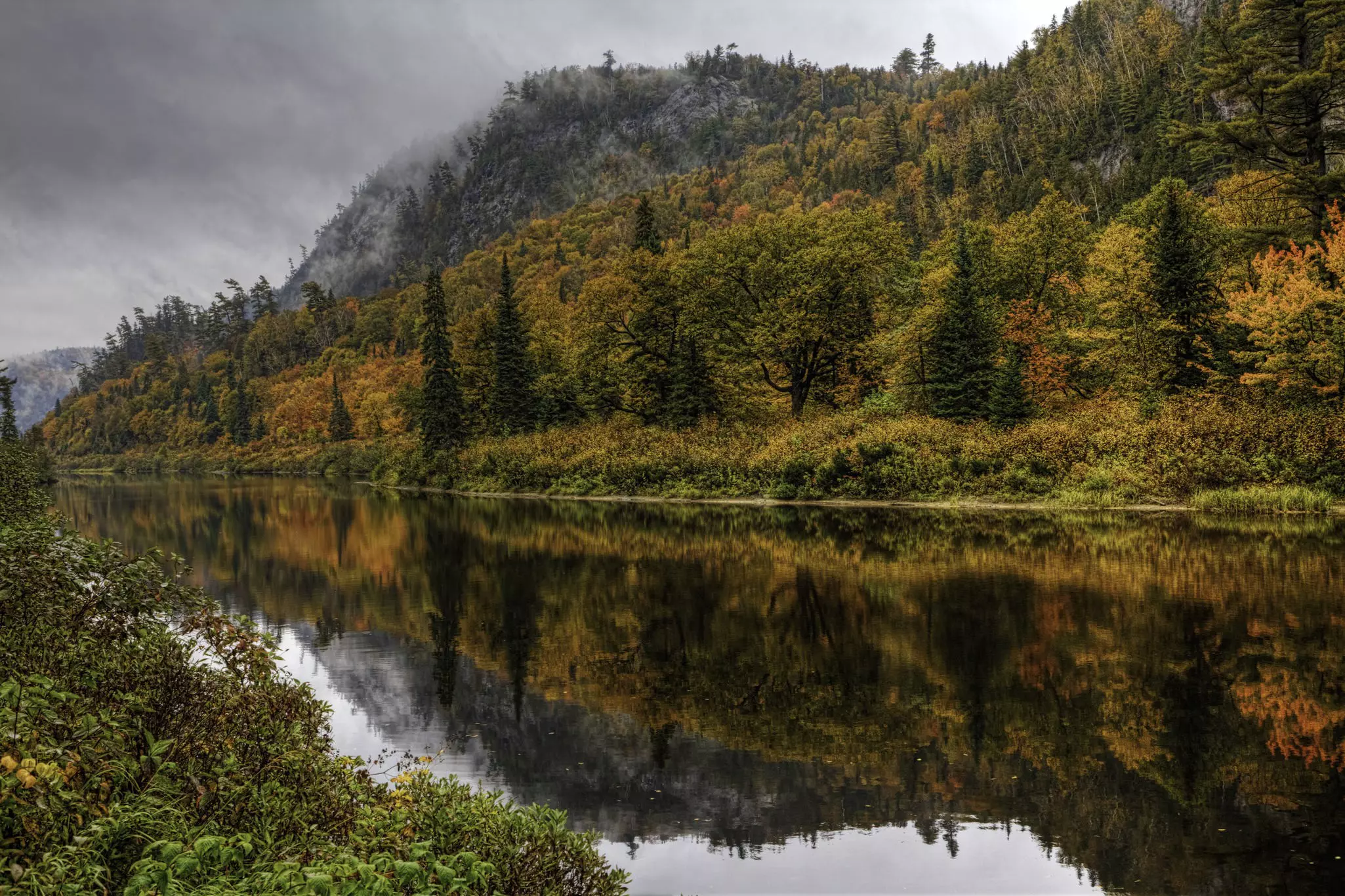 Autumn colours in the trees at Agawa Canyon, Canada
