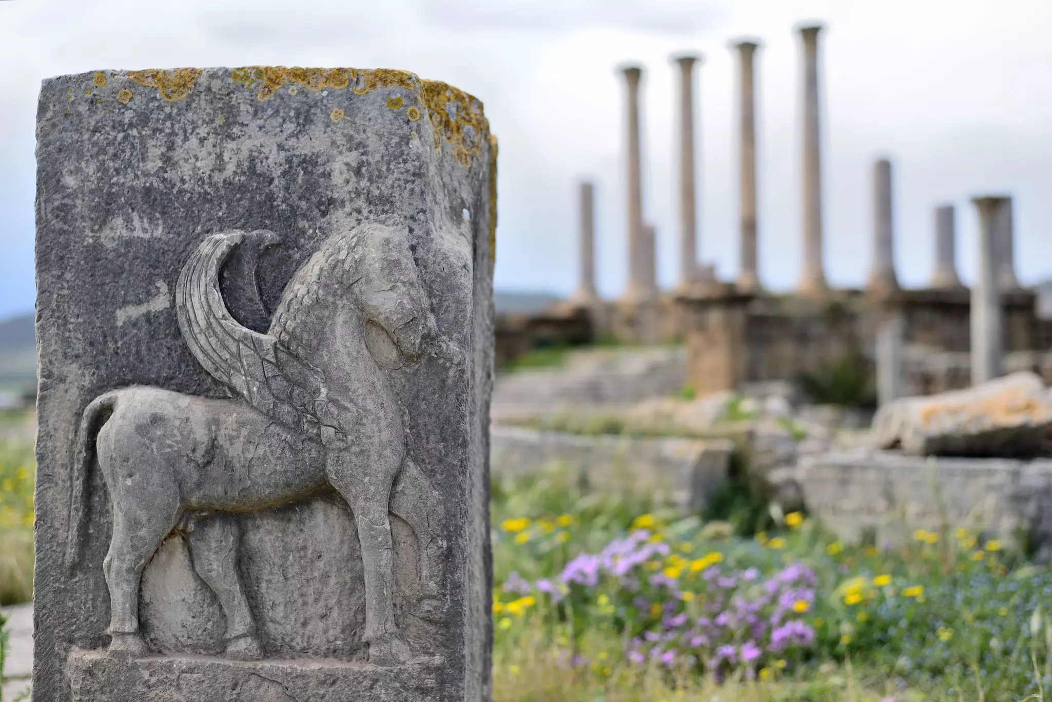 A large stone engraved with a winged horse stands among a field of wildflowers.