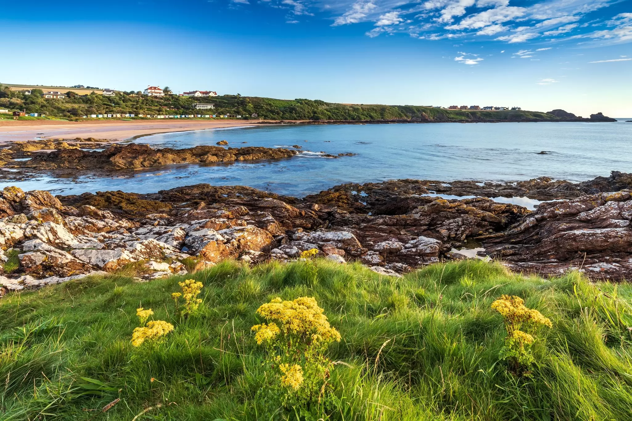  A summer morning at Coldingham Bay near Eyemouth in the Scottish Borders. jimmonkphotography / Shutterstock