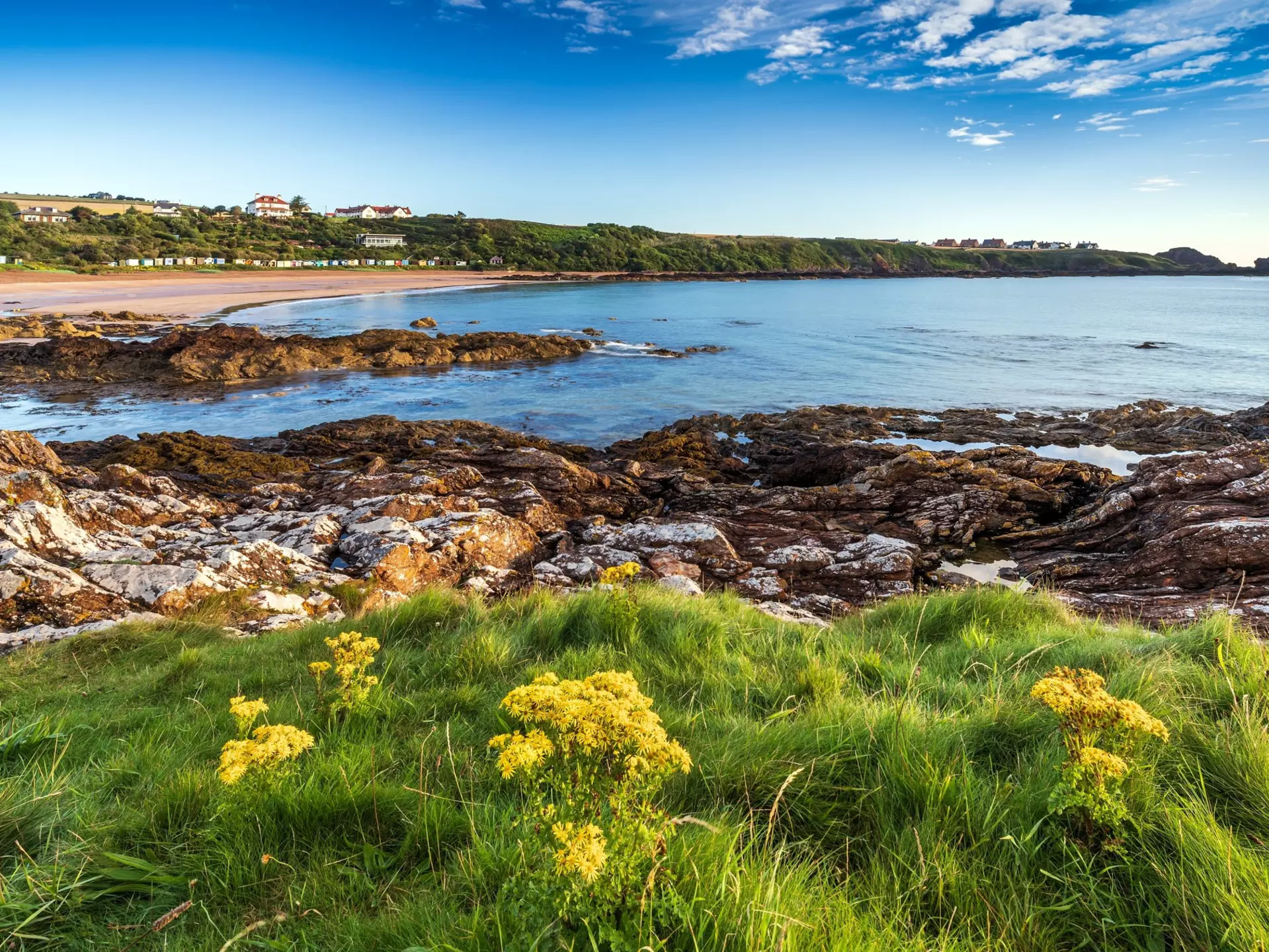  A summer morning at Coldingham Bay near Eyemouth in the Scottish Borders. jimmonkphotography / Shutterstock