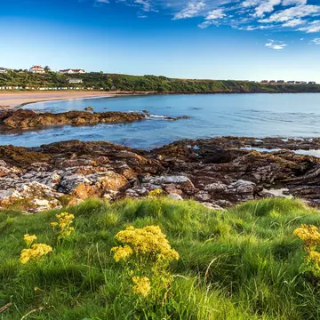  A summer morning at Coldingham Bay near Eyemouth in the Scottish Borders. jimmonkphotography / Shutterstock