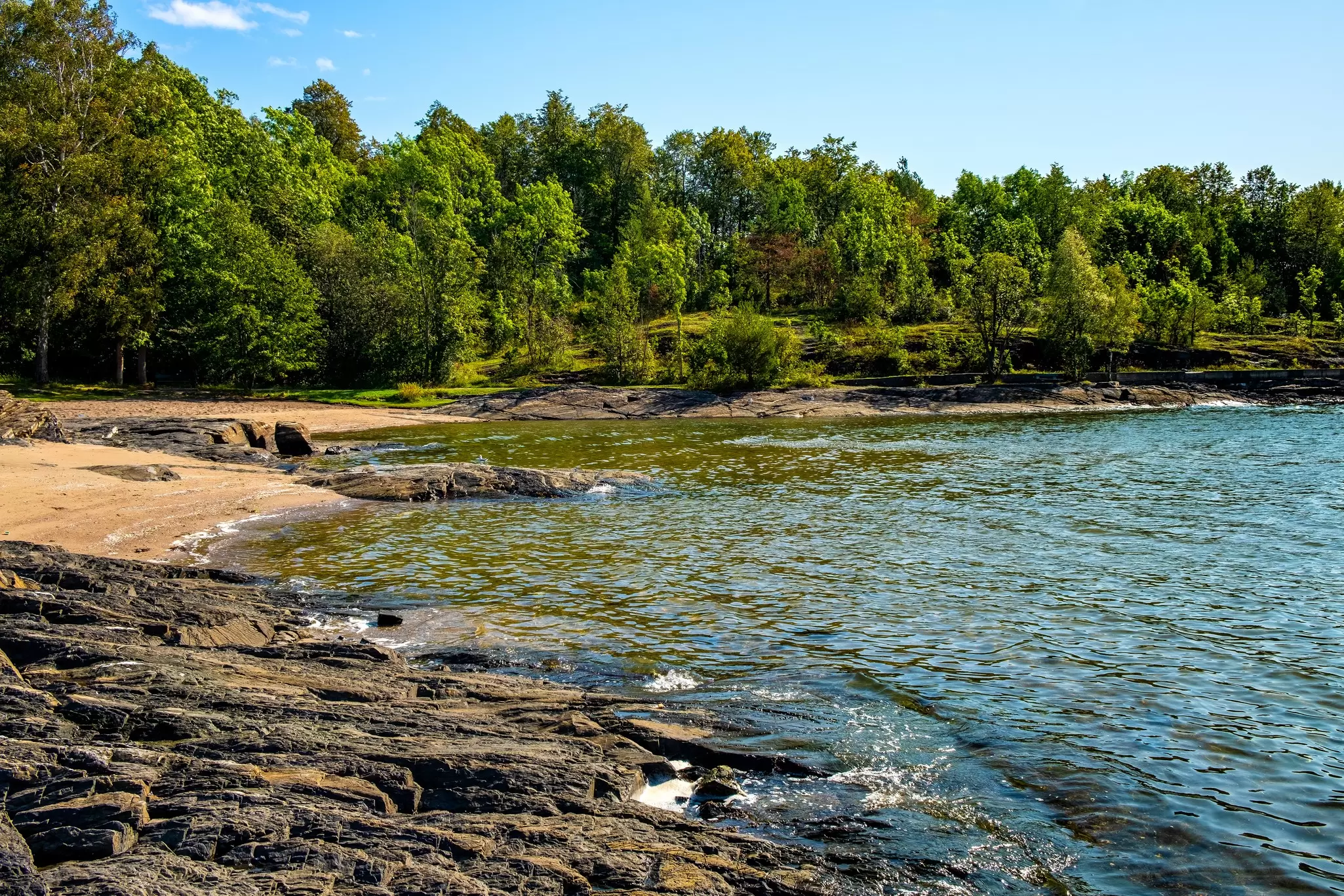 Water laps at the edge of a forested island: Hovedøya, Oslo