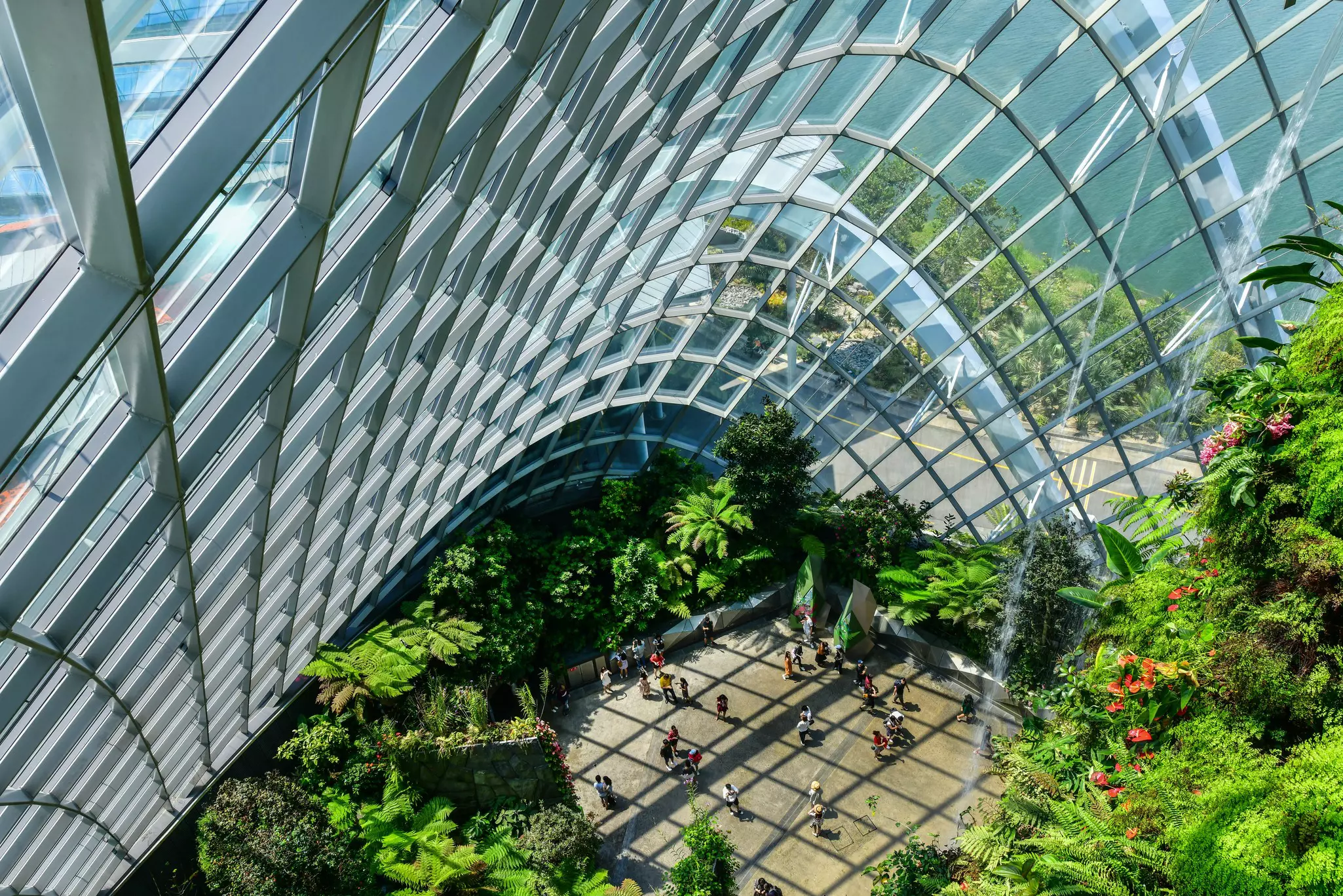 A view from above of a lush garden enclosed by elaborate skylights.
