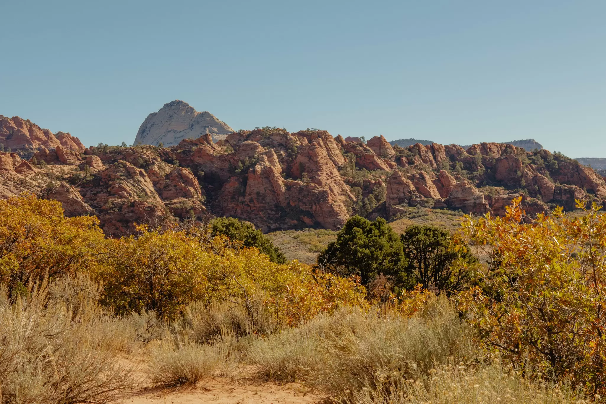 Zion National Park on a sunny day. Rhia Hylton/Lonely Planet