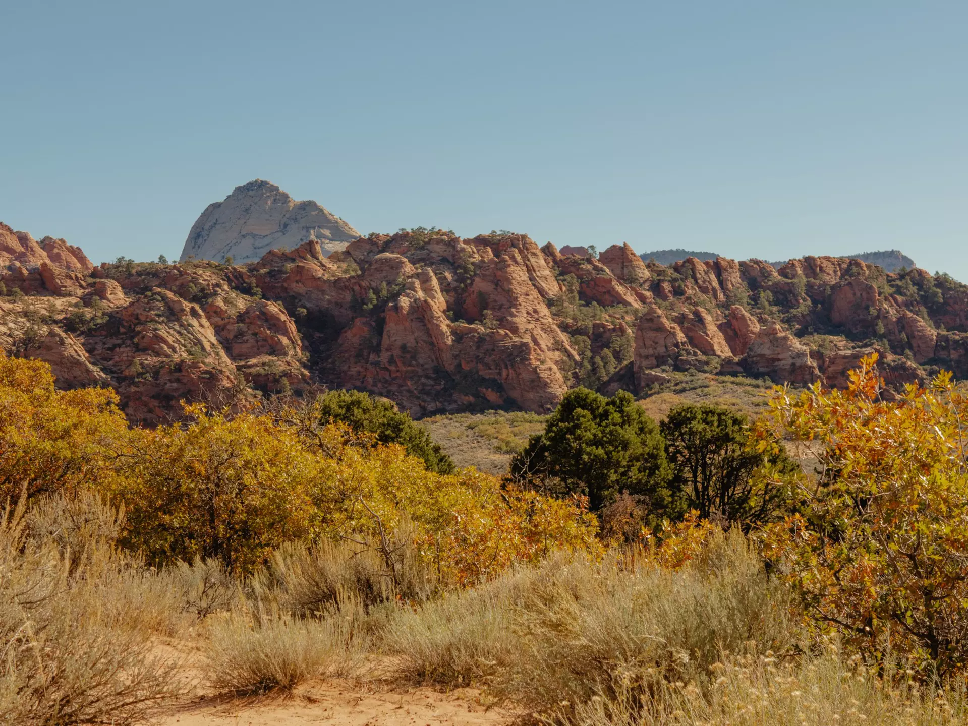 Zion National Park on a sunny day. Rhia Hylton/Lonely Planet