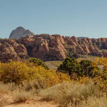 Zion National Park on a sunny day. Rhia Hylton/Lonely Planet