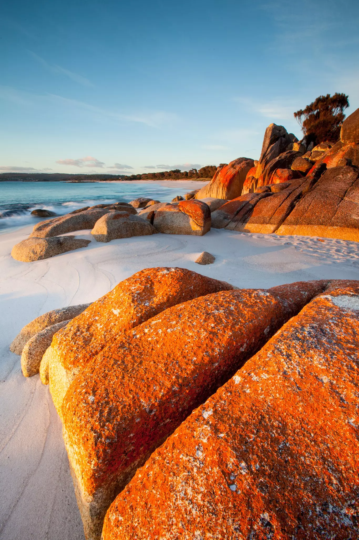 Red lichen covered boulders in the Bay of Fires in Tasmania.