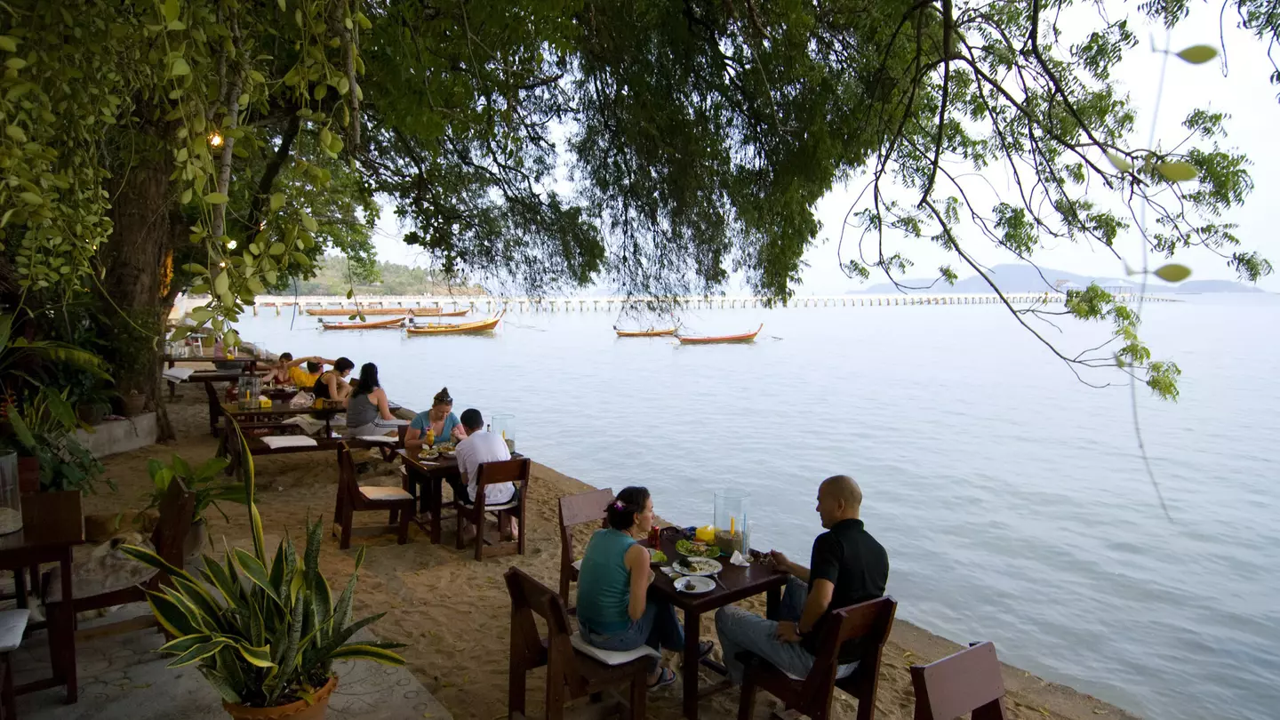 Shoes thrown by students nestle in the branches of The Shoe Tree in Newcastle © Tessa Chan/Woodland Trust