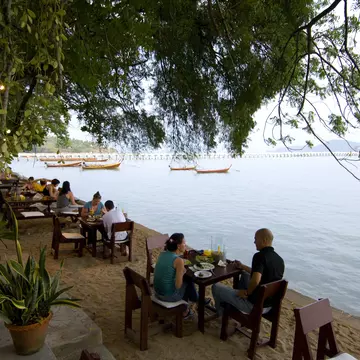 Shoes thrown by students nestle in the branches of The Shoe Tree in Newcastle © Tessa Chan/Woodland Trust