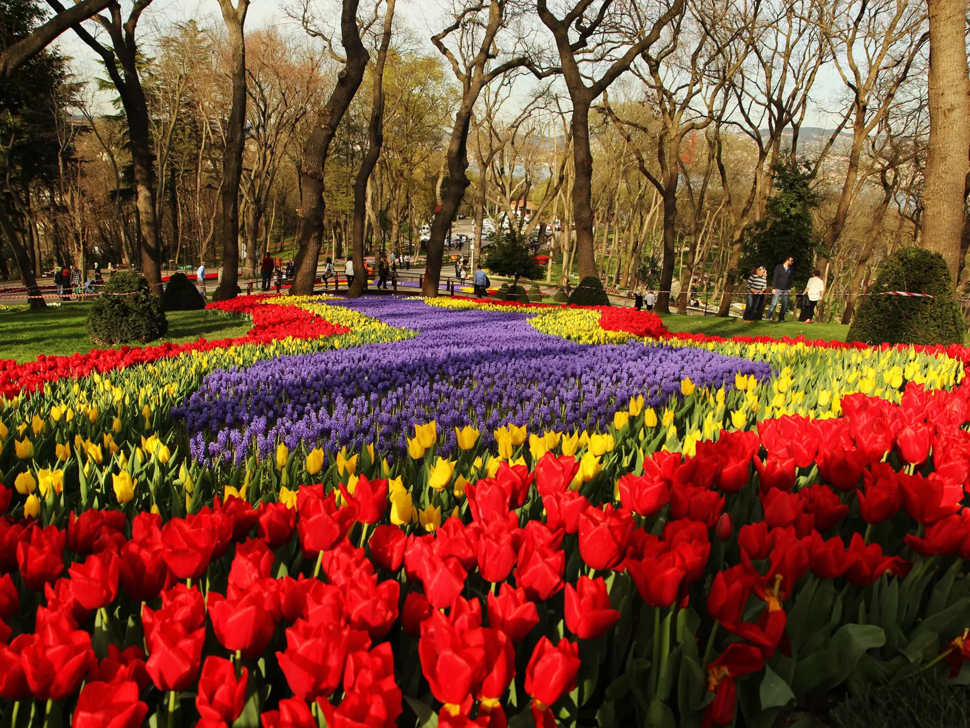 Istanbul,Turkey- April 2, 2013: Emirgan Park in Istanbul during the city's annual tulip festival.
539307315
Beautiful, Ornamental Garden, Brightly Lit, Vibrant Color, Non-Urban Scene, No People, Environmental Conservation, Large Group of Objects, Group of Objects, Visit, Beauty In Nature, Single Object, Inspiration, Landscaped, Vegetable Garden, Grass, Color Image, Tulip, Gardening, Flower Bed, Beauty, Contrasts, Freshness, Variation, Imagination, Growth, Multi Colored, Yellow, Red, Green Color, Colors, Dutch Culture, Below, Nature, Rural Scene, Outdoors, Horizontal, Close-up, High Contrast, Low Angle View, Istanbul, Turkey - Middle East, Netherlands, Flower Head, Tree, Plant, Day, Summer, Springtime, Season, Formal Garden, Park - Man Made Space, Traditional Festival, Emirgan