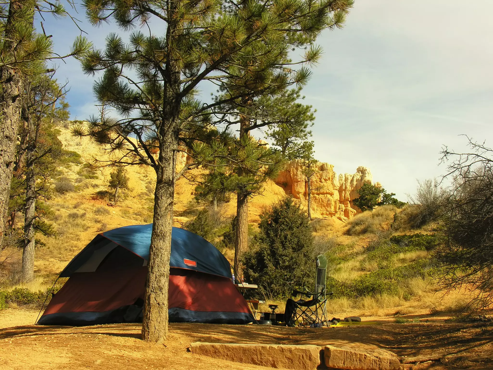 A tent at a campground during the late afternoon