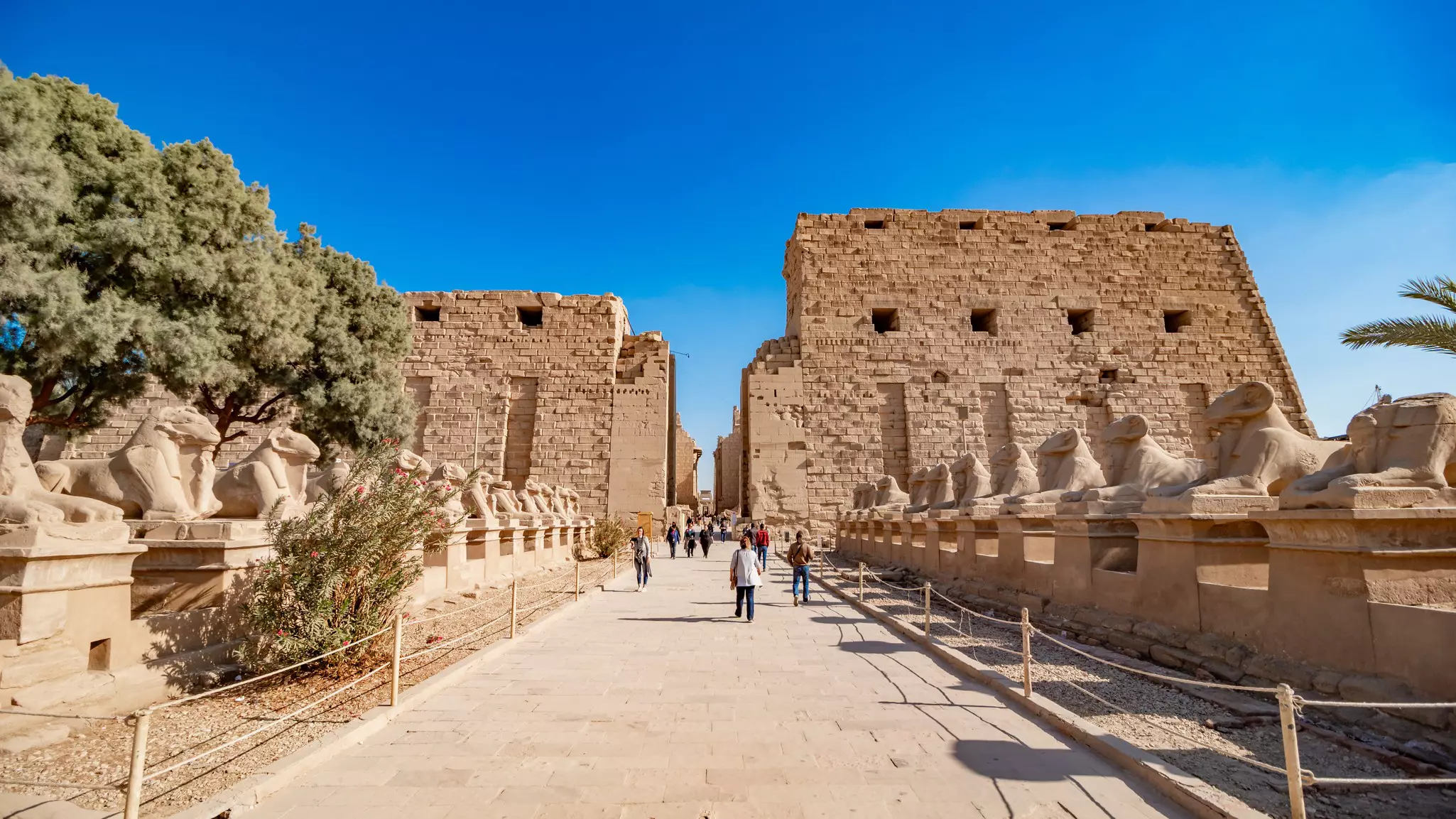 People walk a pathway between Egyptian sculptures of rams towards some ancient brick structures.