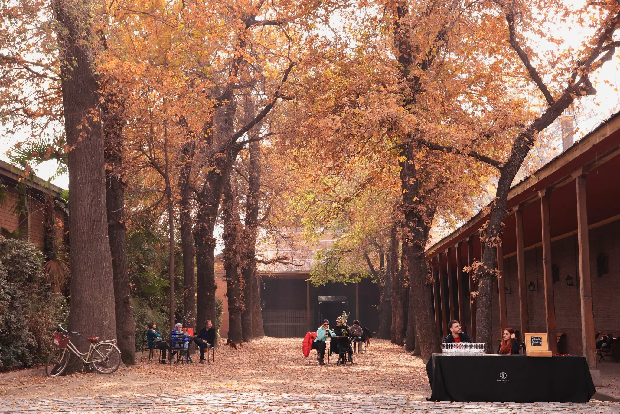 People sit at tables in the courtyard of a winery, among tall trees in fall foliage.