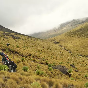 Mt Kenya National Park is home to the country's second highest peak © Martin Mwaura / Getty Images