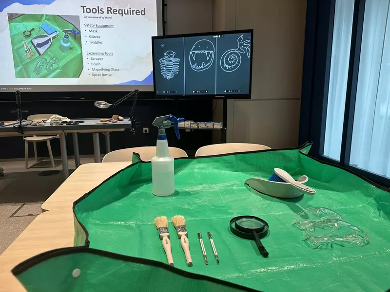 Uncovering an ammonite fossil at the Fossilist Workshop at Singapore Oceanarium