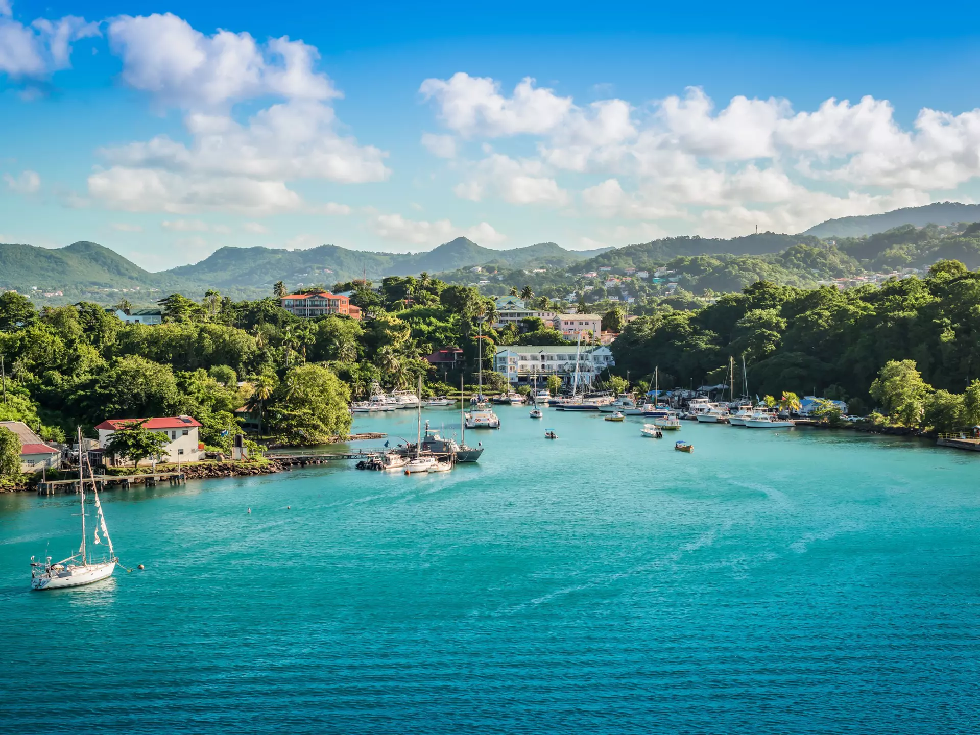 Bay of Castries, St Lucia. Nancy Pauwels/Shutterstock