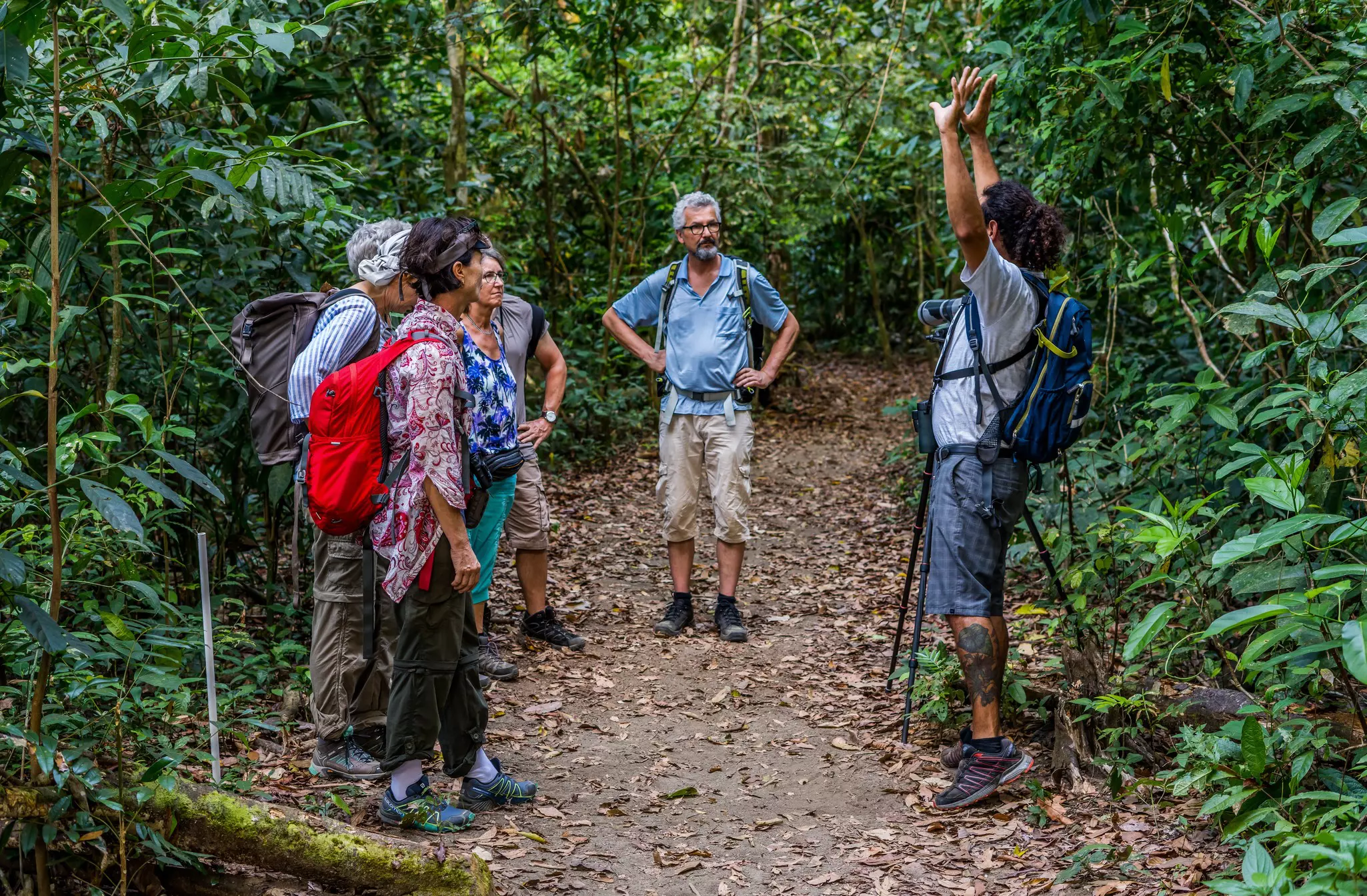 A group of hikers on a trail in a rain forest listens to their guide.