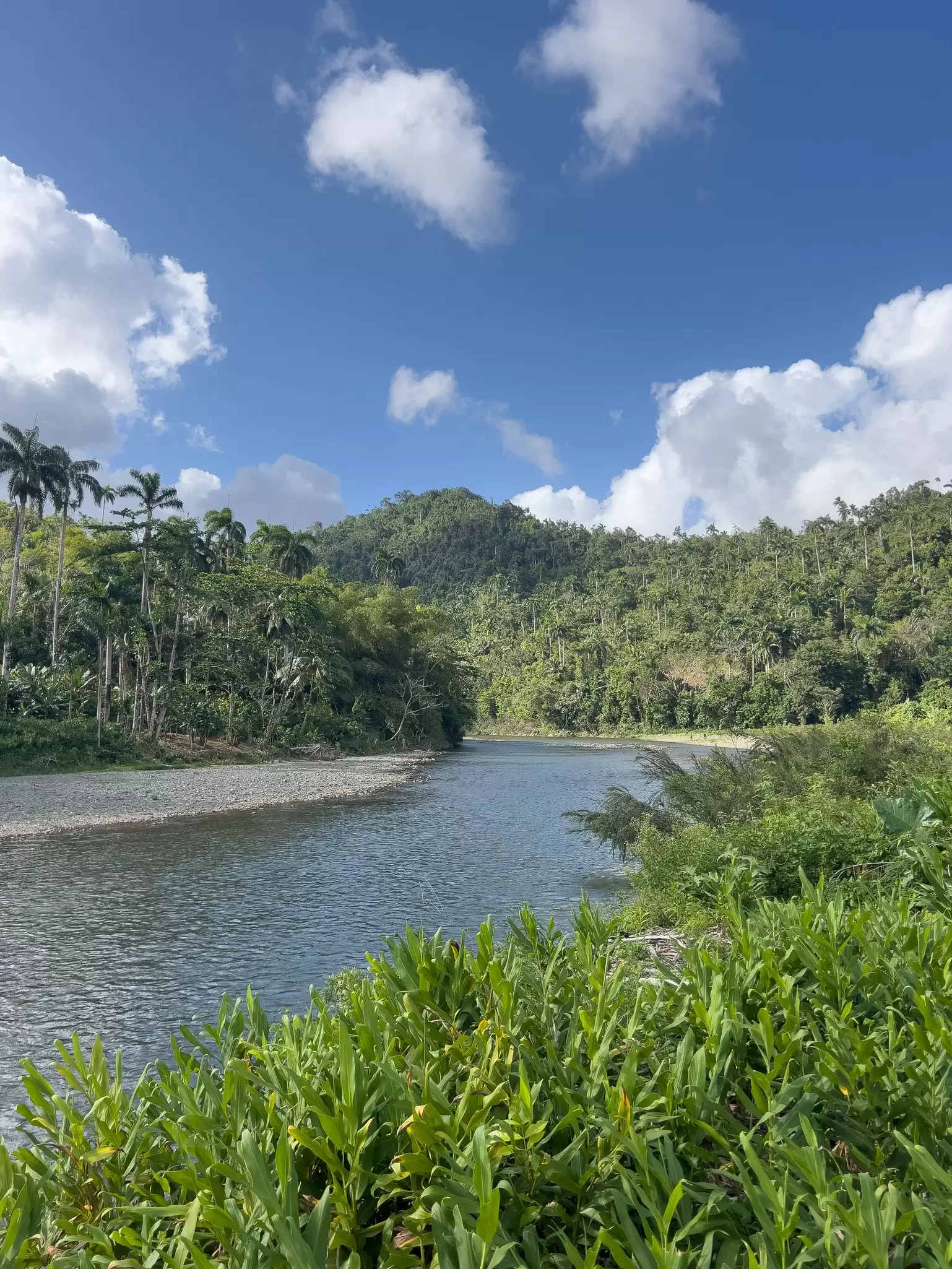 Río Quibiján, Baracoa, eastern Cuba, next to El Eden permaculture project
