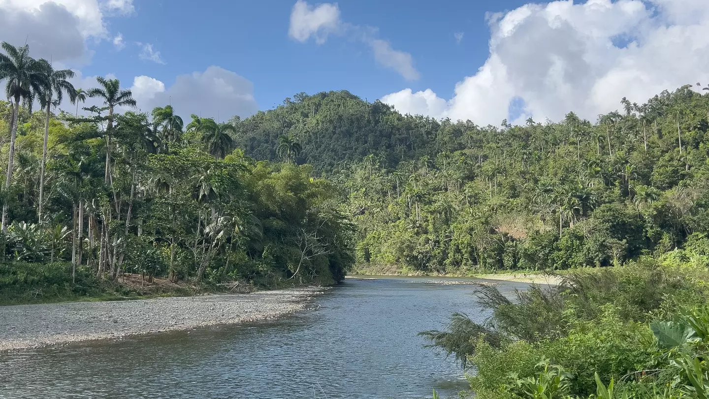 Río Quibiján, Baracoa, eastern Cuba, next to El Eden permaculture project