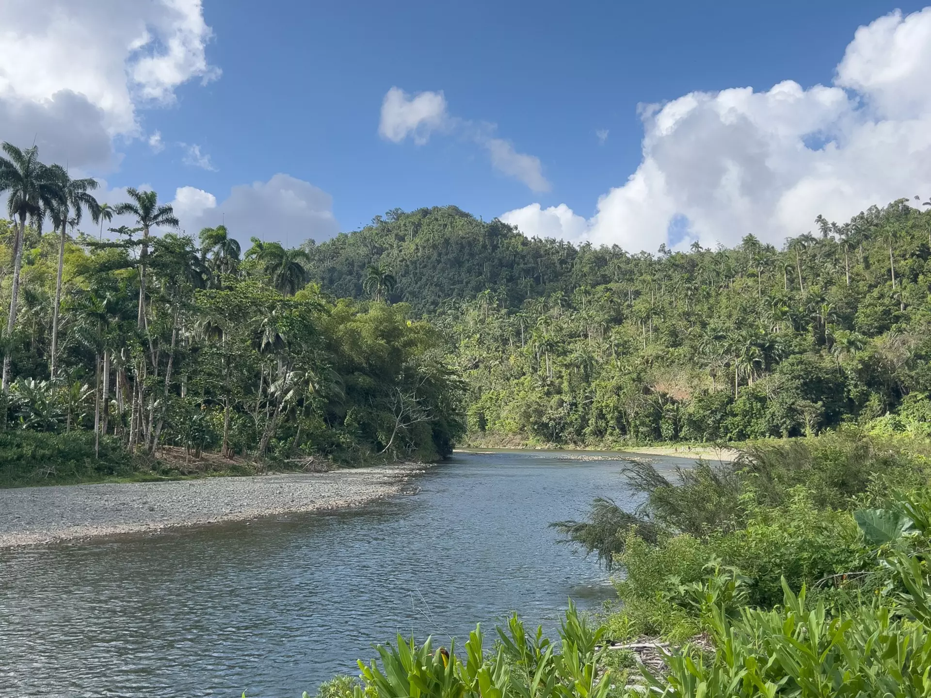 Río Quibiján, Baracoa, eastern Cuba, next to El Eden permaculture project
