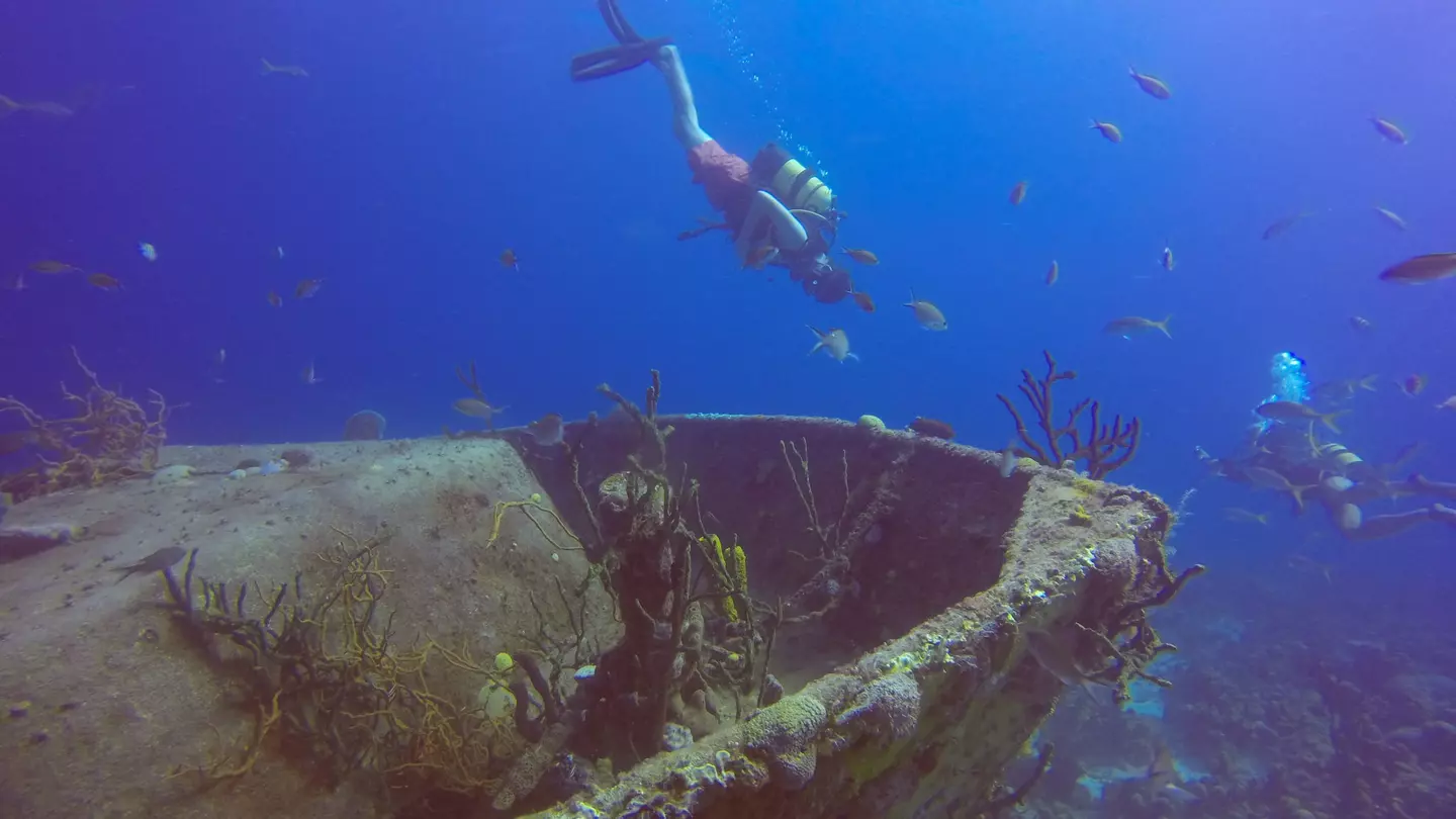 A scuba diver descends towards the wreck of a ship covered in coral as small fish swim by.