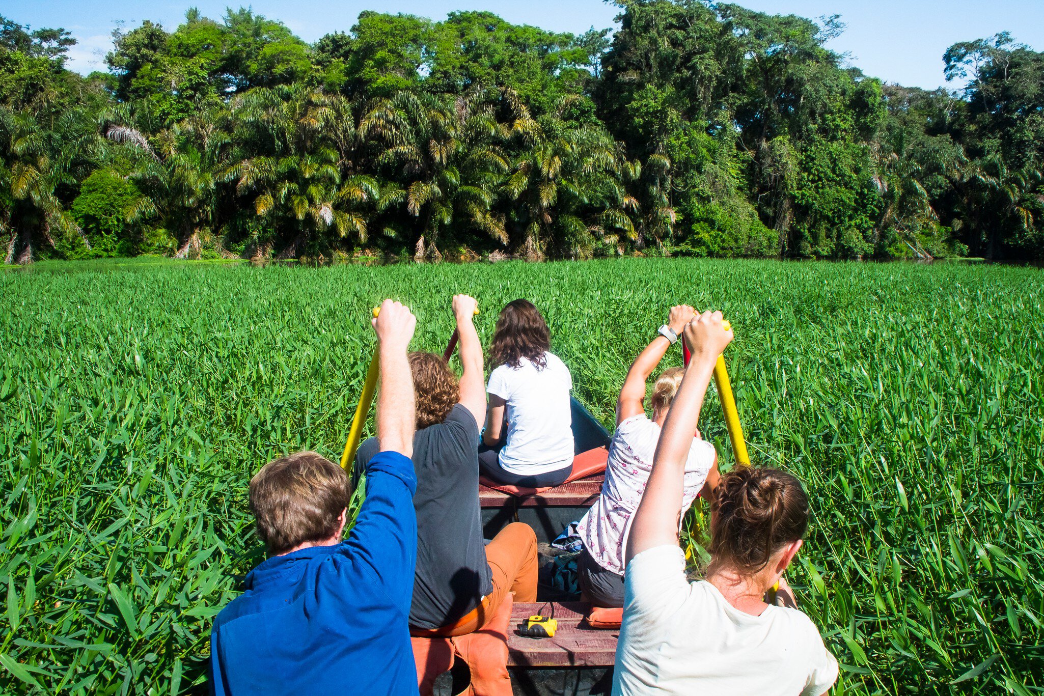 A group of wildlife surveyors canoes through a densely vegetation section of canal in Tortuguero National Park, Costa Rica.
779528731
adventure, america, american, beautiful, canal, canoe, central, color, colorful, colour, colourful, costa, day, daylight, dense, difficult, exotic, fun, grass, group, hard, holiday, isolated, jungle, light, lush, natural, nature, paddle, palm, people, person, pretty, rain, rainforest, recreation, remote, rica, rican, tour, tourism, tourist, travel, traveler, traveller, tropical, vacation, vegetation, vibrant, water