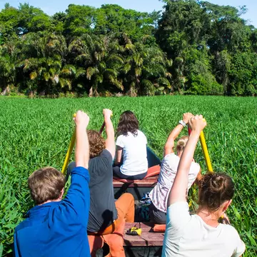 A group of wildlife surveyors canoes through a densely vegetation section of canal in Tortuguero National Park, Costa Rica.
779528731
adventure, america, american, beautiful, canal, canoe, central, color, colorful, colour, colourful, costa, day, daylight, dense, difficult, exotic, fun, grass, group, hard, holiday, isolated, jungle, light, lush, natural, nature, paddle, palm, people, person, pretty, rain, rainforest, recreation, remote, rica, rican, tour, tourism, tourist, travel, traveler, traveller, tropical, vacation, vegetation, vibrant, water