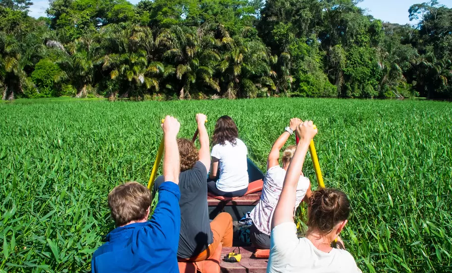Group paddling a canoe through a channel of tall green grass toward a wall of jungle trees