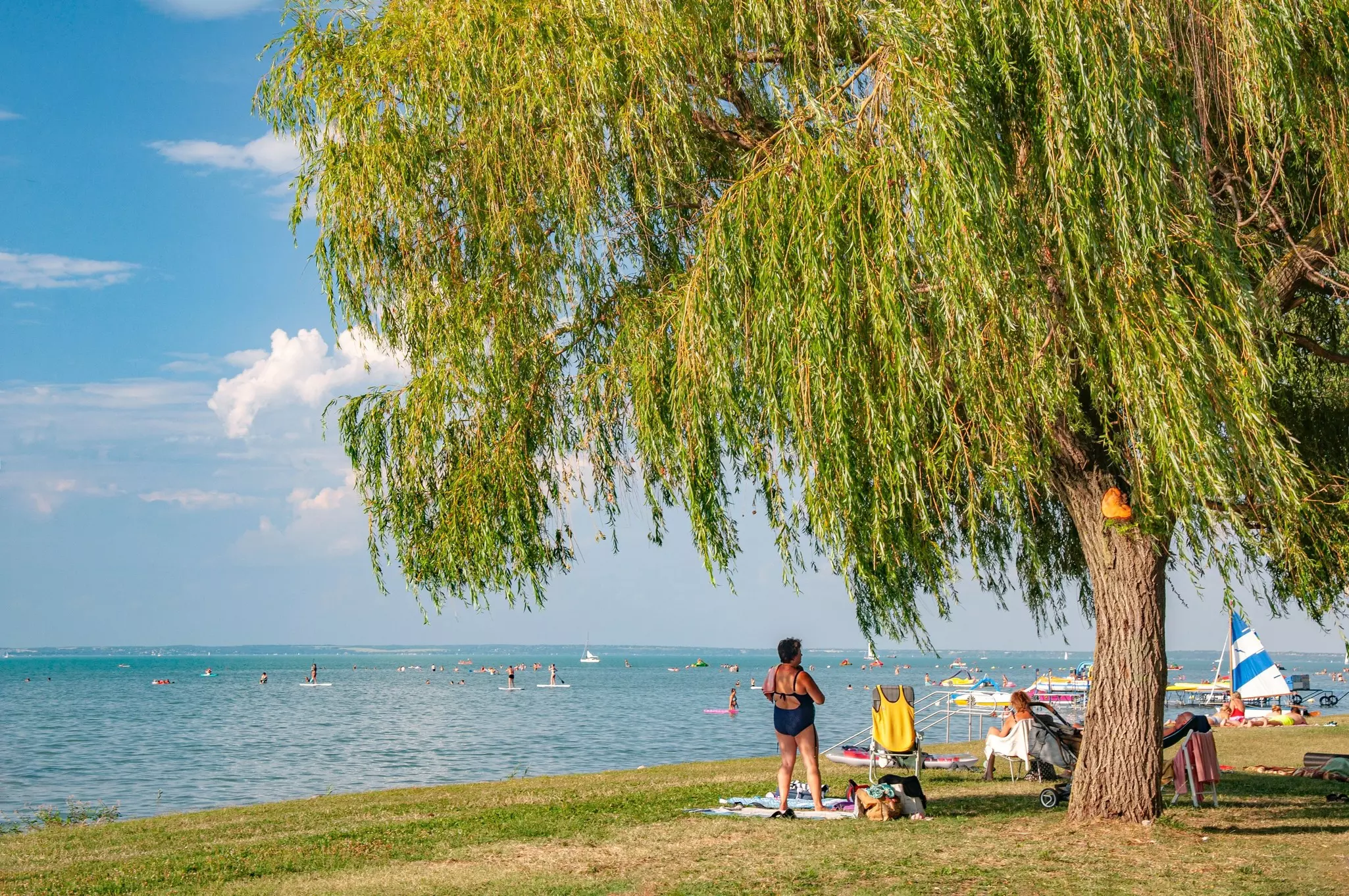 A woman in a swimsuit stands on a blanket in the grass under a tree with long hanging branches by the side of a large lake that extends to the horizon; there are boats and people in the water.