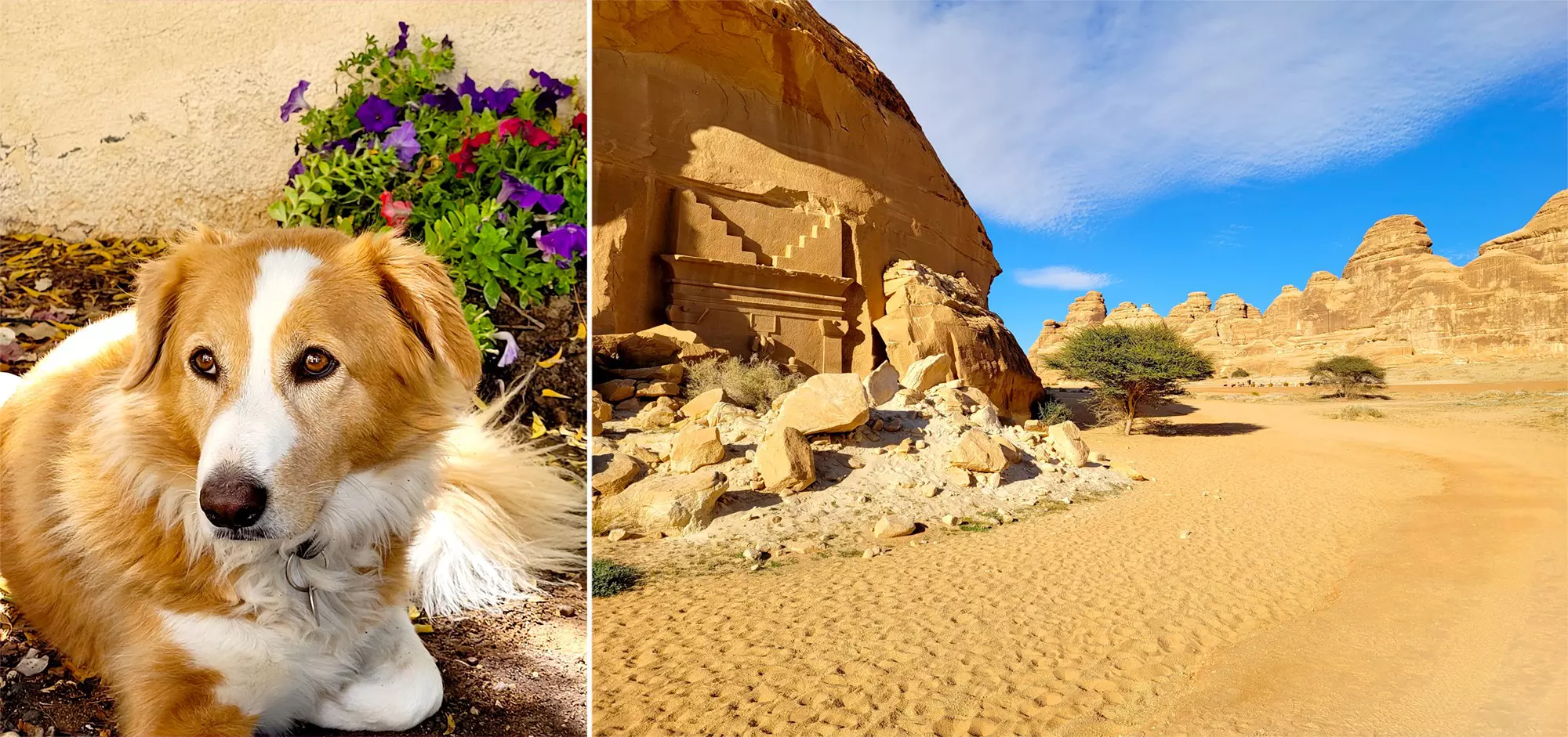 While our dog Gertie traveled home in style, we took in sights like Saudi Arabia’s “Little Petra” on our cross-desert drive © Jenny Walker