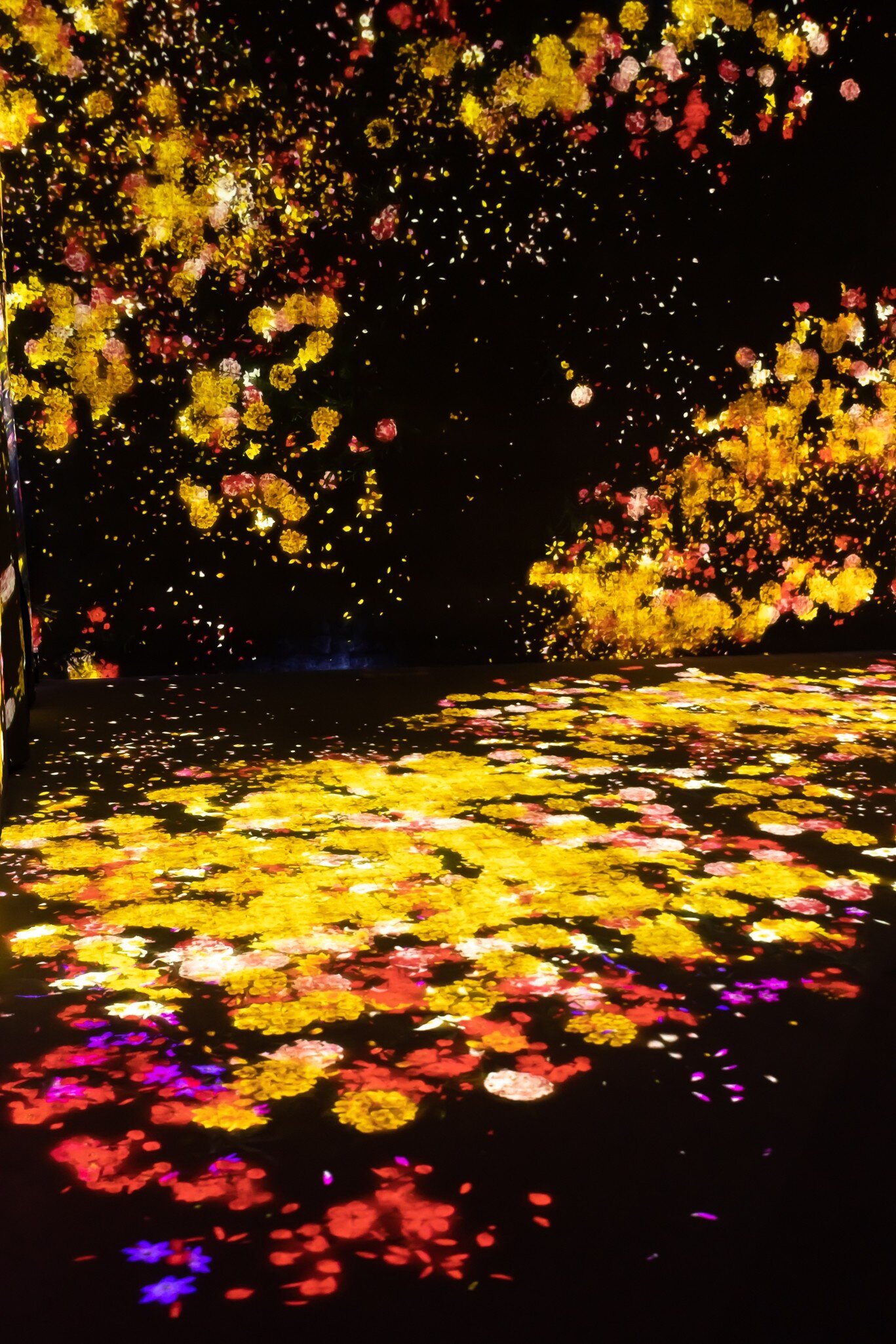 Digital art exhibition at TeamLab Borderless, Japan