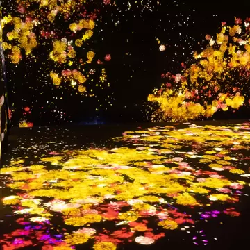 Digital art exhibition at TeamLab Borderless, Japan