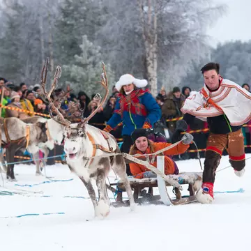 Reindeer races at the Jokkmokk Winter Market in Lappland. Kuznetsova Julia/Shutterstock