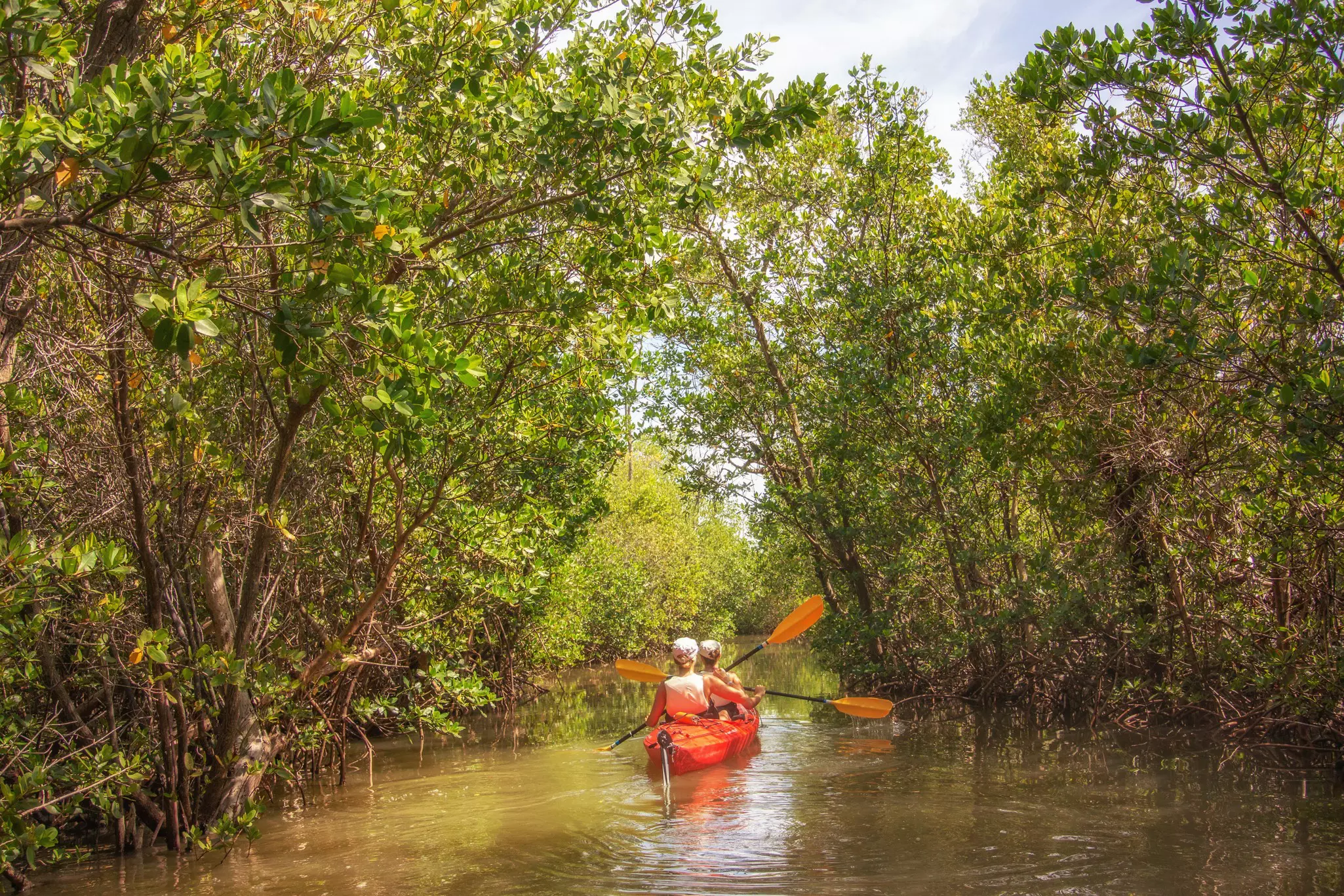 Two people paddle along a narrow channel in a canoe.