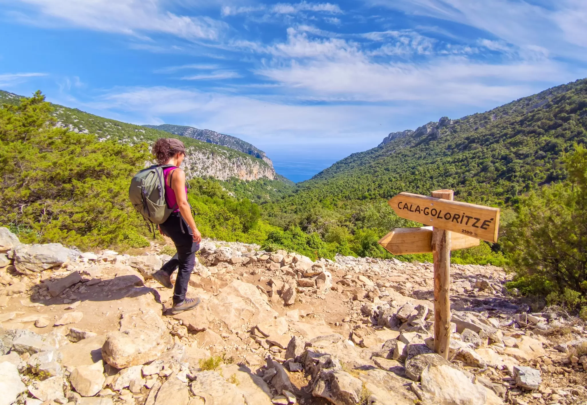 A hiker on a rocky path with extensive forests ahead leading to the coast