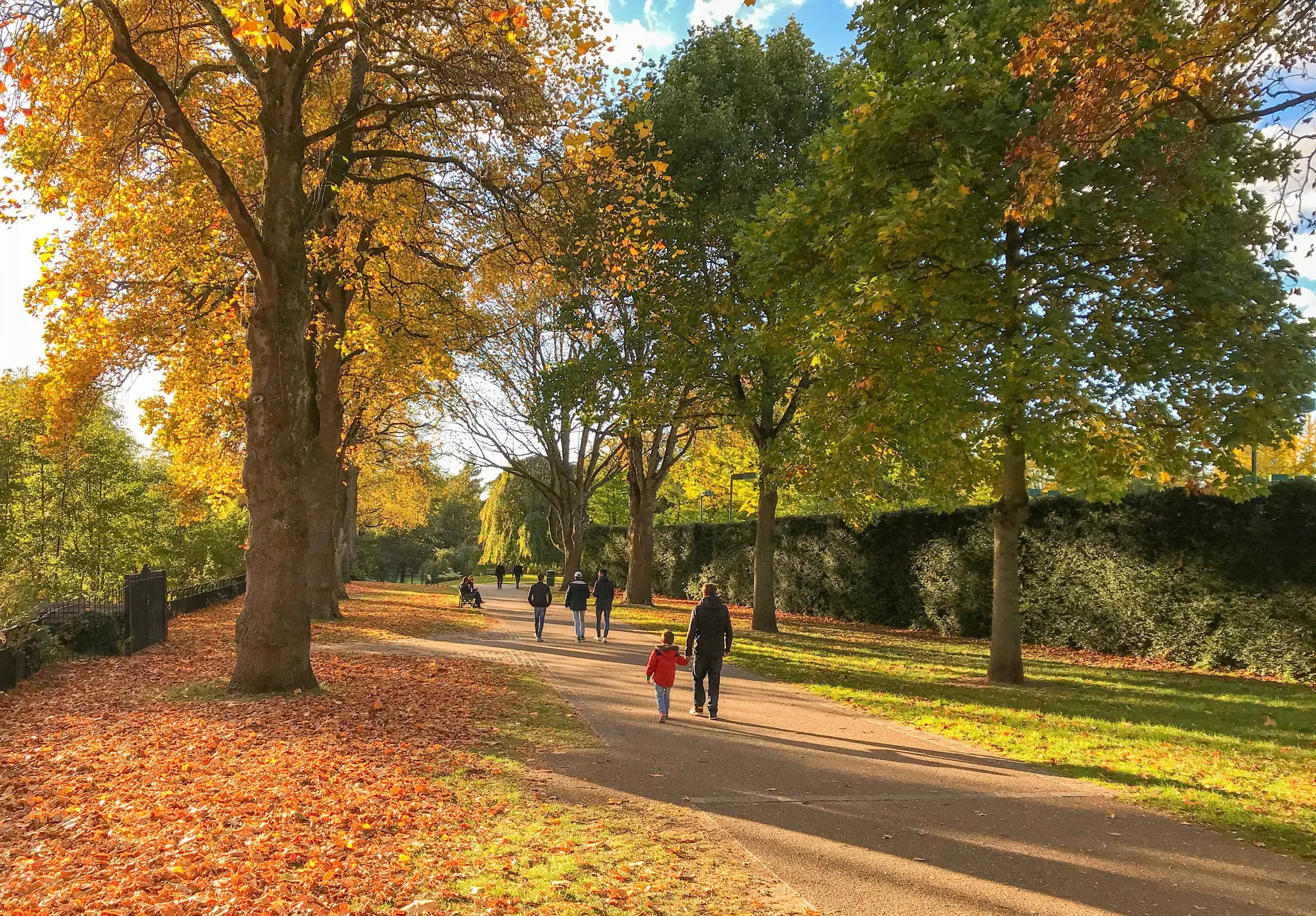 People walking through Bute Park in Cardiff city center with autumn colours in the trees.