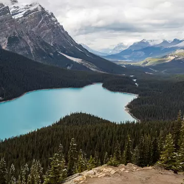 Crowfoot Mountain, Banff National Park
Alberta, Banff National Park, Canada, Canadian Rockies, adventure, hiking, mountains, outdoors, rocky mountains, trees
Peyto Lake, Banff National Park
