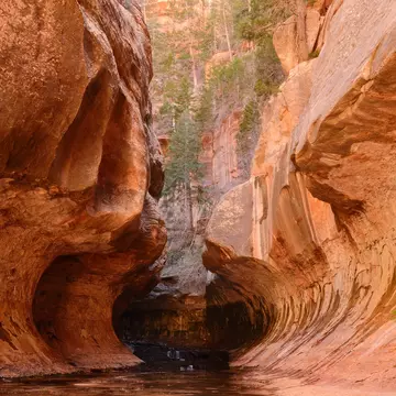 Link up Utah's "Mighty 5" national parks with this epic driving route, including Zion National Park. Allison Herreid/Shutterstock