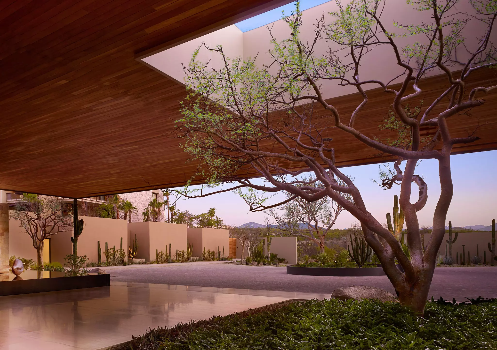 A large tree anchors a hotel lobby view with a roof and mountains in the background