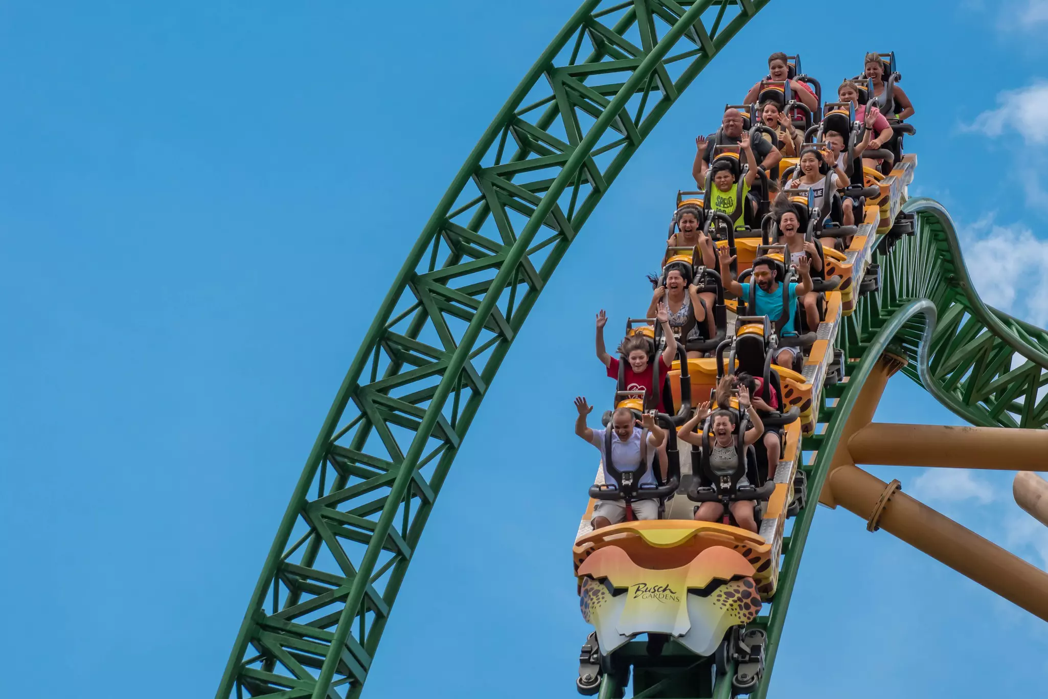 Do you know who in your family will ride the Cheetah Hunt rollercoaster at Busch Gardens © Shutterstock 